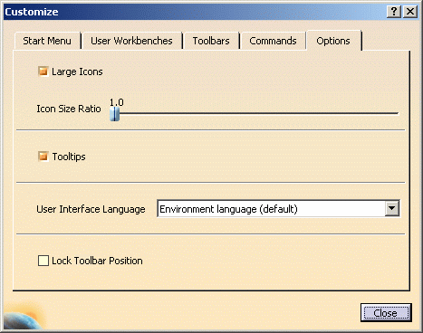 Customizing Options