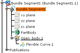 Working with Single Bundle Segments in a Bundle Segment Document